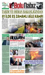 BOLU NABIZ